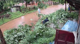 Resident slips on wet leaves from tree being pruned outside home