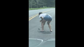 Good Samaritan helps baby snapping turtle safely cross over road