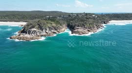 Two Humpback Whales playing in the calm waters off North Stradbroke Island, Queensland, Australia