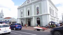 Cooperation with China would help Brazil's green industrial transition, says Governor