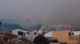 Tenerife wildfires: Video shows smoke and flames near the town of Arafo