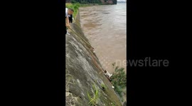 Passerby heroically rescues stranded dog in river in China
