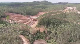 Drone View of New Capital City of Indonesia, Progress Reach 38 Percent