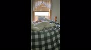 temp
