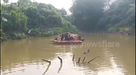 Angler killed by crocodile in a river at East Kutai of East Kalimantan