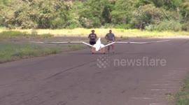 A Real Life Pterodactyl