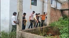 A horse fell into mud pit for two days rescued by an NGO people using JCB