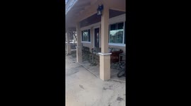 Hawaii resident returns to house ripped apart by devastating wildfires