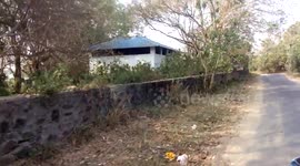 Riverbank became vehicle junkyard