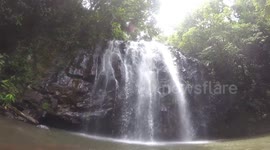 Full #strayathings Leech Video