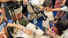 Small Animal Lovers Visit The 25th Asian Pet Fair in Shanghai, China