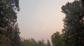 Wildfire Smoke Chokes Metro Vancouver, BC, Canada