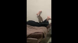 Bunny Tries To Steal Man's Girlfriend