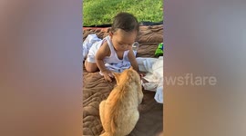 Cute baby girl plays with pet cat in this adorable video