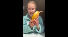 Three Bananas In The Same Pod