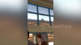 School pupils rescue cat stuck on roof outside classroom