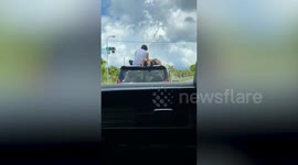 Tourists spark concern riding on top of moving car in Japan