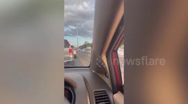 Kind motorists stop and pick up lost cat in middle of road