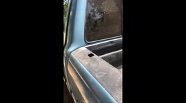 Evidence of an Unfortunate Visitor