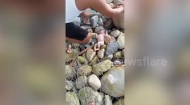 Baby girl found alive dumped on rocks under bridge in Indonesia