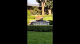 Refreshing splash: Canela's playful fountain bath on a hot day in San Miguel de Allende