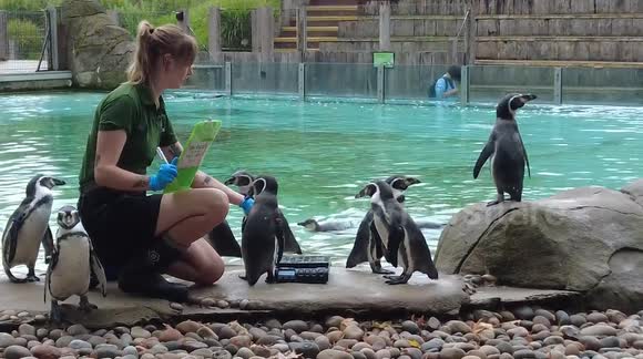 Scales and tails: annual weigh in for London Zoo's furry and feathery residents
