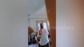 Grandfather whacks bat with broom as it flies through home