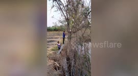 Thai rescuers climb ladder to save hapless cat stuck in tree