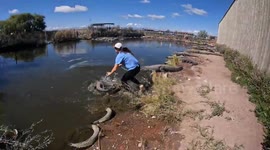 Brave woman volunteer wrangles injured alligator to give medication in thrilling clip