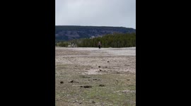 Tourist Too Close To Old Faithful