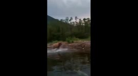 Passengers scream as mother bear charges down boat in heart-pounding footage