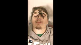 Amazing Creepy Crawlies