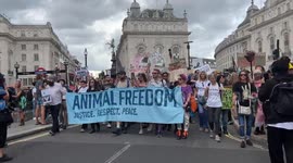 Animal rising match through London protesting for animal rights