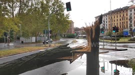 Damages from heavy storm in Milano, fallen trees, traffic and water.