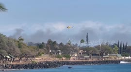Wildfires shake tourism in Hawaii's Maui island