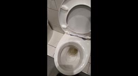 Pressing the Big Red Button in the Restroom