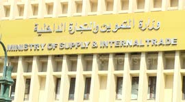 Egypt inaugurates mega strategic food warehouse project