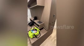 Student gives tour of cramped California university apartment with bed doubling as desk and closet