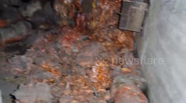 'A rot-filled stench burned my lungs and I saw something TWISTED in the basement': Explorer left 'terrified' after visit to abandoned factory.