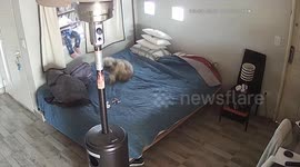 Daughter Opens Door for Locked Out Parents