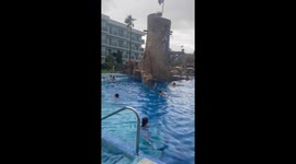 Holidaymakers evacuate hotel pool as Mallorca blasted by hurricane-force winds