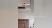 temp