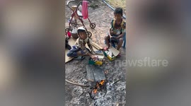 Shivering puppies keep warm in shoeboxes during chilly temperatures in northeast Thailand