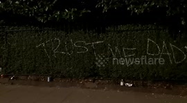 An unusual sight of a bush that has been spraypainted by Graffiti by vandals at the Notting hill Carnival