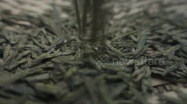 Fixed filming of tea leaves falling and pouring water into cups.