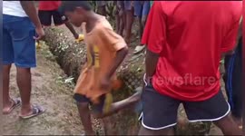 The dead body of leopard recovered from drain in Jalpaiguri