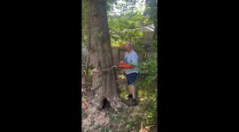 Tree Felling Fail Smashes Neighbor's Fence