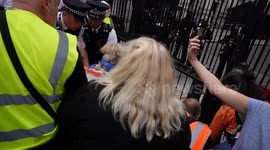Ambulance is called as an old lady is knocked to the ground at the ULEZ protest outside 10 Downing Street