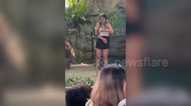 Woman screams while snake is placed around her neck at zoo