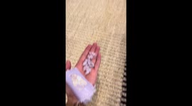 Guilty dog 'smiles' as she's confronted by owner over destroyed lotion bottle